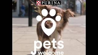 Purina Pets Welcome...Discover some pet-friendly cafes