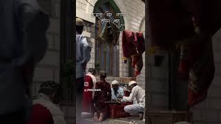 malak Hasan saah ️