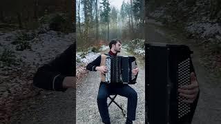 Shostakovich: Waltz No. 2 #accordionplayer #baroquemusic #music #accordion #classicalmusic