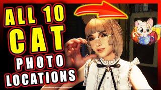 QUICK GUIDE - All CAT PHOTO EXHIBITIONS Locations | Stellar Blade