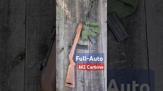 M2 Carbine FULL AUTO - America's First Assault Rifle is Underrated AF #USA #KOREA #CHOSIN