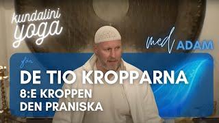 De tio kropparna, 8:e kroppen, den praniska