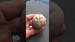 Field Walking Freaks : Heart Of Stone :