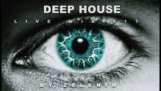 ZELENIN - Live DJ Set 2024 (Deep House Mix) Music DJ Mix 4K HDR