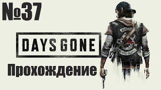 Прохождение Days Gone - Часть #37 (Без Комментариев)