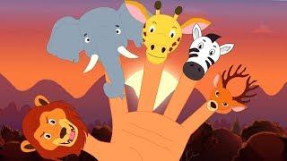 животные палец семья | песни в россии | Baby Rhymes | Animals Finger Family