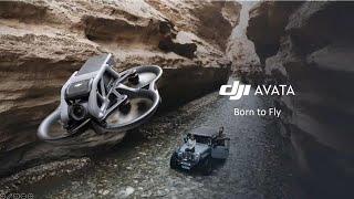 DJI Avata - Born To Fly
