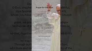 Prayer for Pope Leo #amen #god #christian #popeleoxiv #church #faith #faithjourney