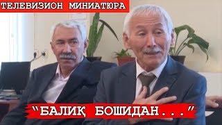 "Телевизион миниатюра": "БАЛИҚ БОШИДАН..."