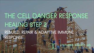 Decoding Your Immune System  - CDR 2 & Rebuilding Damaged Tissue