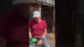 как выбрать электрическую пилу #деревня #дача #советы #пила