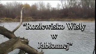 Wędkarstwo wiślane, Wisła Warszawa łowienie, szczupaki na żywca w Wiśle, sandacz na martwą rybkę.