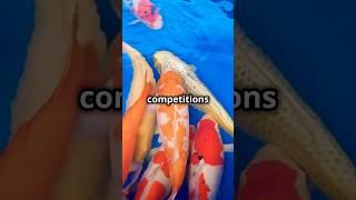 5 Surprising Facts About Koi Fish You Didn’t Know! #facts #fishyfacts #koi