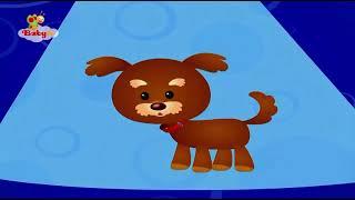 BabyTV Animals The End