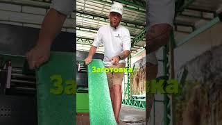  STEEL STORY: BALI VILLA JOURNEY