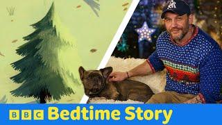 Tom Hardy reads The Christmas Pine  | CBeebies Bedtime Story