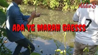 Mancing Wader DiBendungan #Pas Sarang Wader Dan Nila