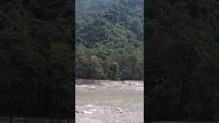 Teesta river on the way to bengal from Sikkim #shorts #teestariver #river #travel #sikkim #gangtok