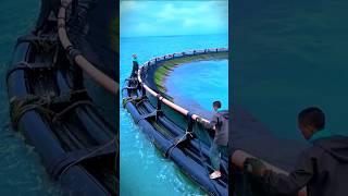 Floating fish farming #fishing #fish