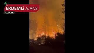 Mersin'de Orman Yangını