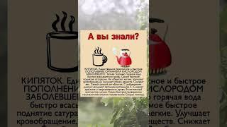 А ВЫ ЗНАЛИ? #здоровье  #здоровоепитание  #советы  #полезныесоветы  #здоровыйобразжизни
