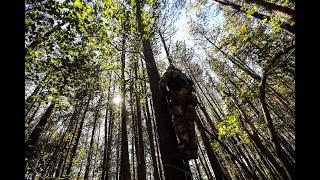 Bow Hunting Season Is Here | Extreme Outfitters