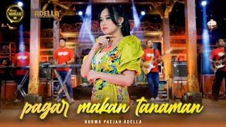 PAGAR MAKAN TANAMAN - Nurma Paejah Adella - OM ADELLA