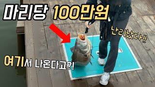 서울 앞바다에 싯가 100만원 괴물이 잡혔는데..계속 나와요 ㄷㄷ