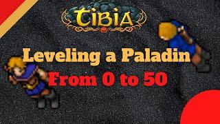 Starting a Paladin from 0 in Tibia [New Server]