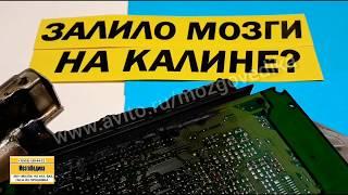 Залило антифризом мозги на Калине. Обзор залитых ЭБУ. Причины. Перенос ЭБУ (мозгов) на Калине.