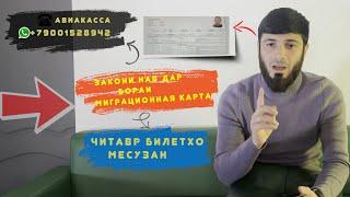 Закони нав дар бораи миграционная карта 13.03.2024