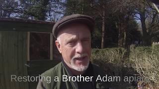 Restoring a Brother Adam apiary