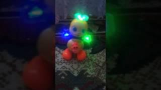 түнгі көбелектер