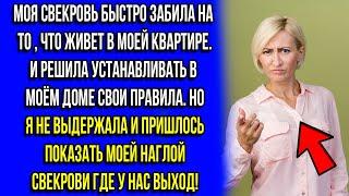 МОЯ СВЕКРОВЬ БЫСТРО ЗАБЫЛА, ЧТО ЖИВЕТ В МОЕЙ КВАРТИРЕ, ПРИШЛОСЬ ПОСТАВИТЬ ЕЁ НА МЕСТО!