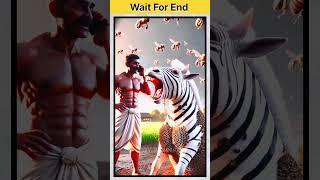  Zebra Sweet Craving Gone Wrong!  Ouch#shorts #youtubeshorts #rescue