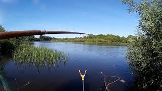 Уклея.Многие в полнолуние удочки не трогают.