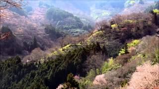 Magna Canta - Hymn (HD video)