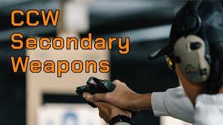 CCW Secondary Weapons