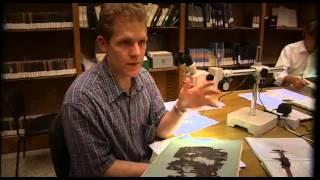 Herculaneum's Lost Library