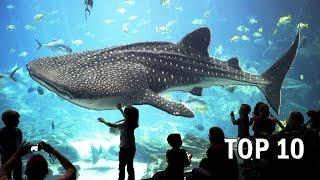Top 10 Largest Aquariums in the World