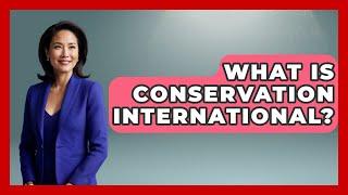 What Is Conservation International? - The Wild Life Explorer