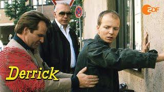 Derrick. Staffel 12, Folge 15: Ein kleiner Gauner