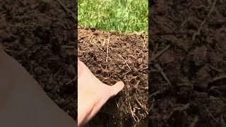Using a sod cutter to fill in patchy grass