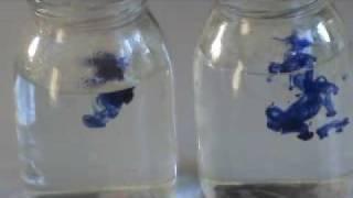 Brownian motion - physics experiment