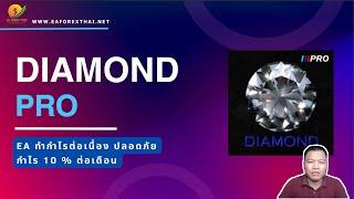 รีวิว Diamond Pro EA ระบบ Martingale กำไรต่อเนื่อง เน้นปลอดภัย กำไร 10% ต่อเดือน | Eaforexthai