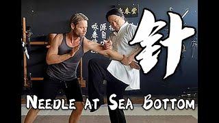 Tai Chi 24 Application - Section 19: Needle at Sea Bottom - 海底针