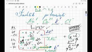 Онлайн ЭКГ дарслари. Юрак электрофизиологияси 1-кисм. MAKS ACADEMY