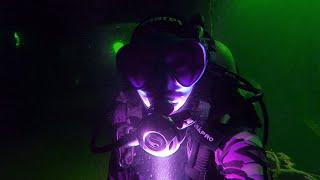 Halloween Fun Dives | Roatan