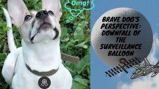 Brave Dog's Perspective: Downfall of the Surveillance Balloon | Untold History Unleashed