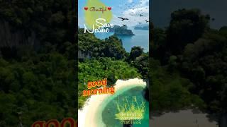 Beautiful Switzerland | Nature Status short | Soul Wind #nature #switzerland #halalbeats #shortfeed